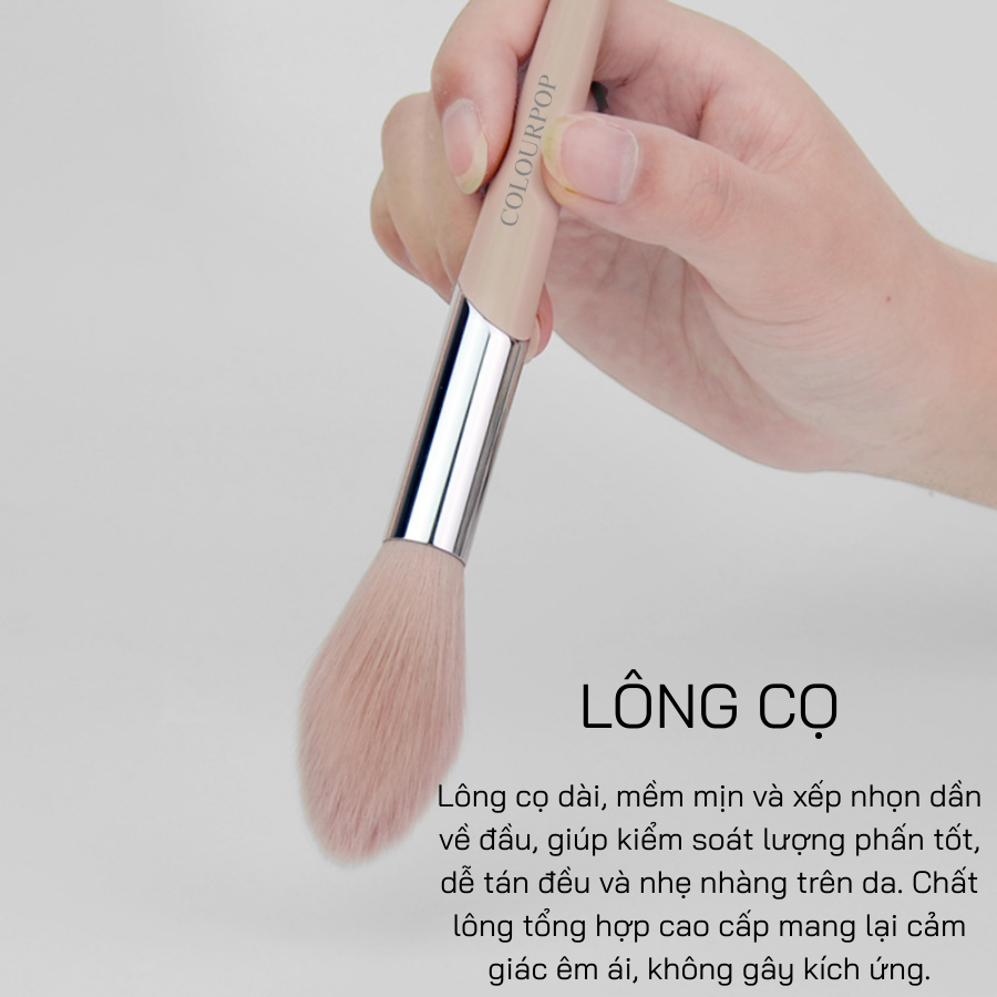  Cọ Tạo Highlight COLOURPOP Highlighter Brush C109
